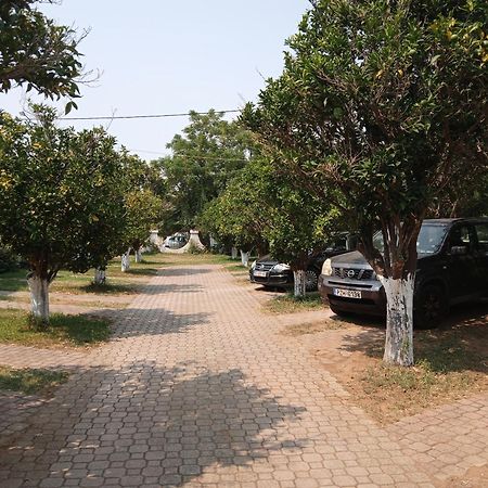 Pension Alexandros Preveza Exterior foto