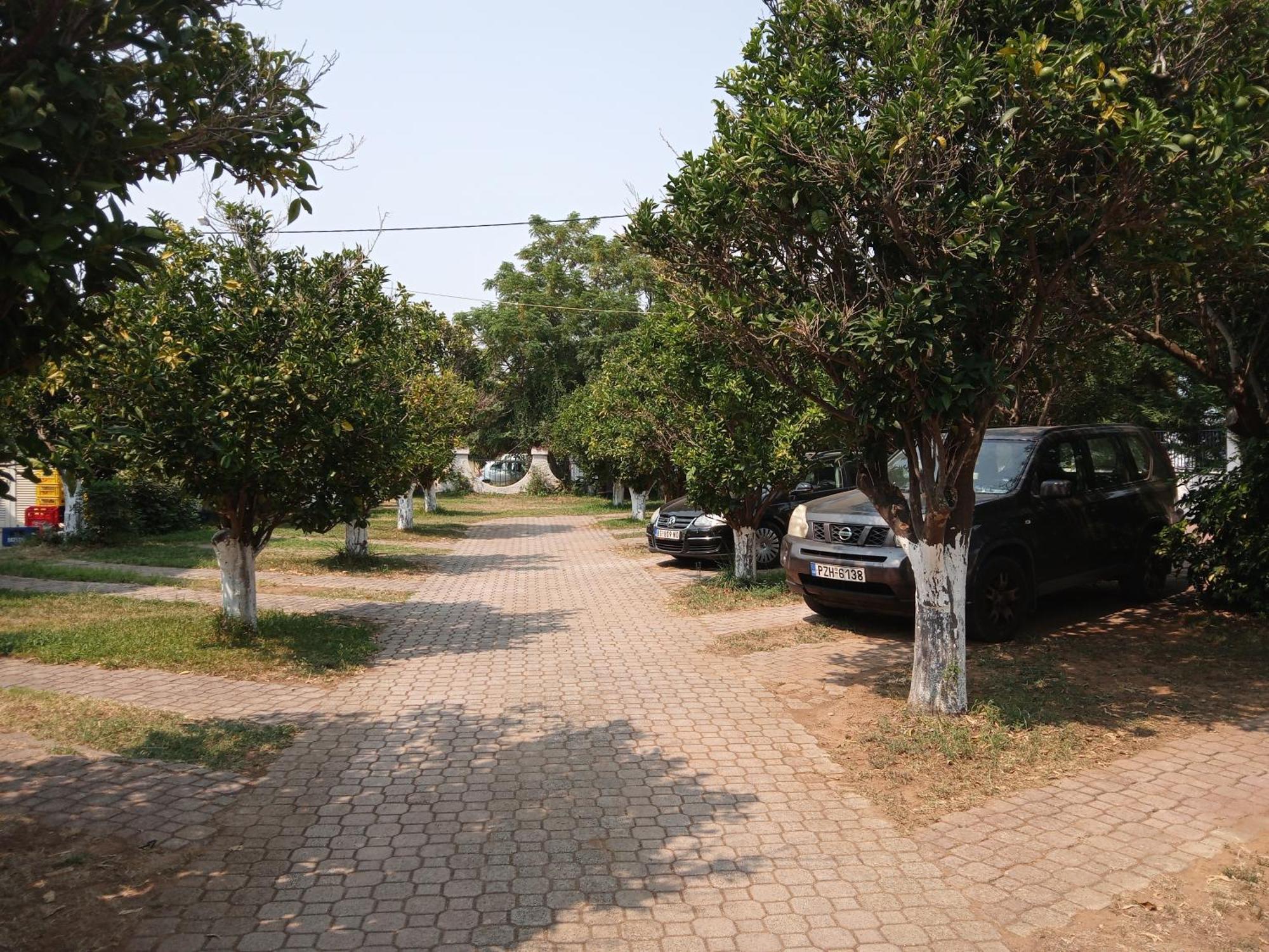 Pension Alexandros Preveza Exterior foto